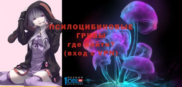 хмурый Богородицк