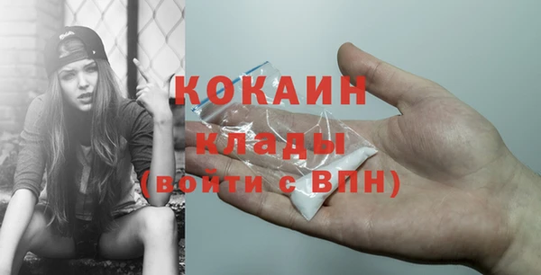 хмурый Богородицк