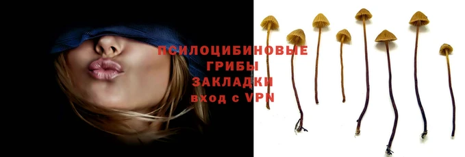 прущая мука Богородск