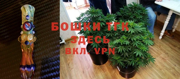 хмурый Богородицк