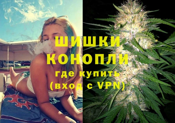бошки Белокуриха