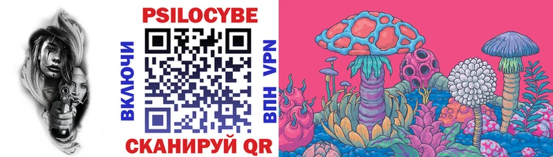 Галлюциногенные грибы мицелий  Горно-Алтайск 